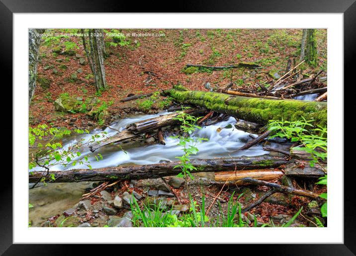 A moss-covered log fell through a forest stream in a damp, damp forest. Framed Mounted Print by Sergii Petruk