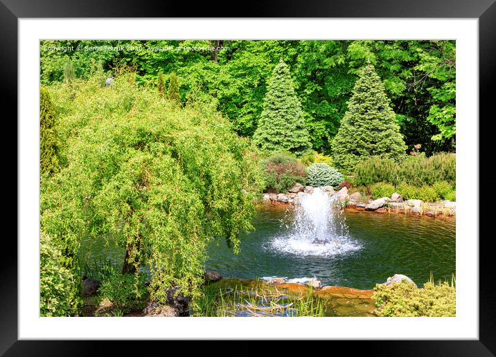 Decorative pond with a fountain in a beautiful summer park. Framed Mounted Print by Sergii Petruk