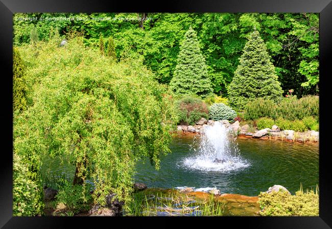 Decorative pond with a fountain in a beautiful summer park. Framed Print by Sergii Petruk