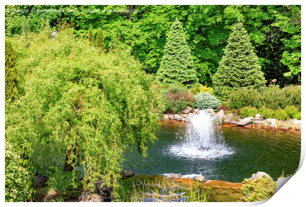 Decorative pond with a fountain in a beautiful summer park. Print by Sergii Petruk