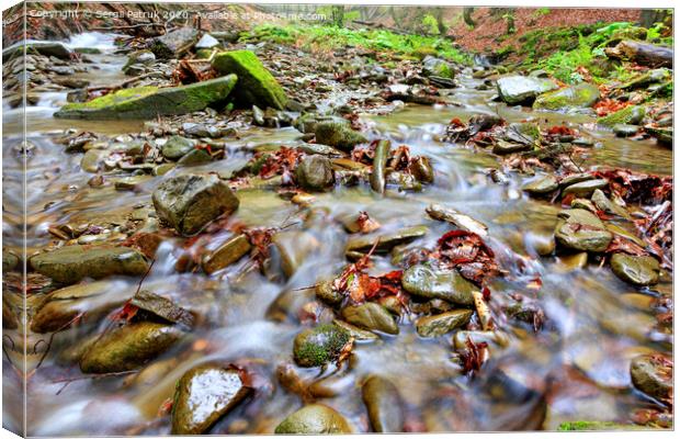 The waters of the forest brook run on stone pebbles and fallen leaves in the autumn forest. Canvas Print by Sergii Petruk