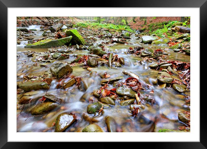 The waters of the forest brook run on stone pebbles and fallen leaves in the autumn forest. Framed Mounted Print by Sergii Petruk