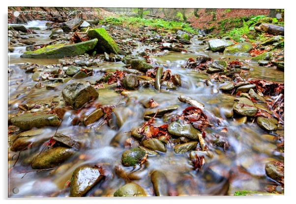 The waters of the forest brook run on stone pebbles and fallen leaves in the autumn forest. Acrylic by Sergii Petruk