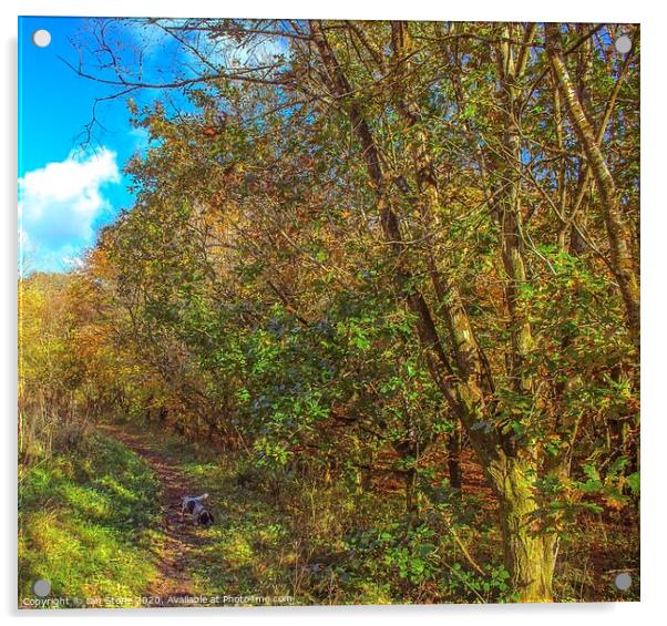 Autumn walks Acrylic by Ian Stone