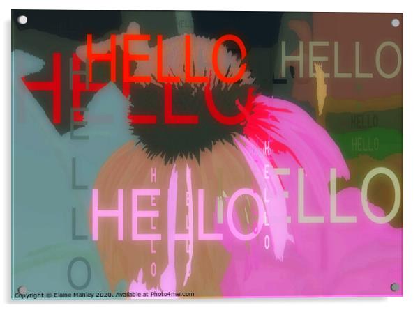 Hello Acrylic by Elaine Manley