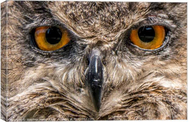 Eyes of an Eagle Owl Canvas Print by Stephen Munn