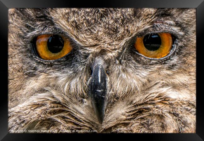Eyes of an Eagle Owl Framed Print by Stephen Munn