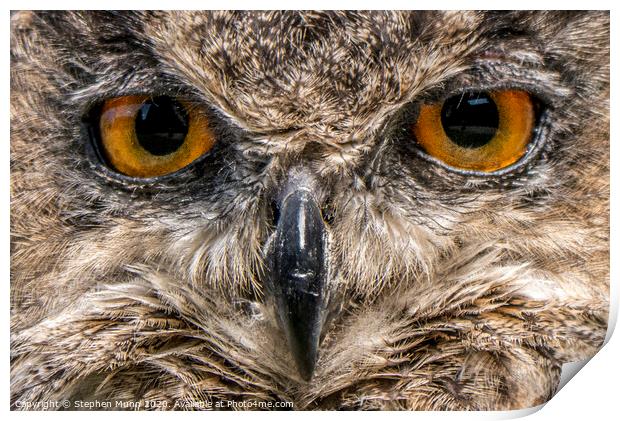 Eyes of an Eagle Owl Print by Stephen Munn
