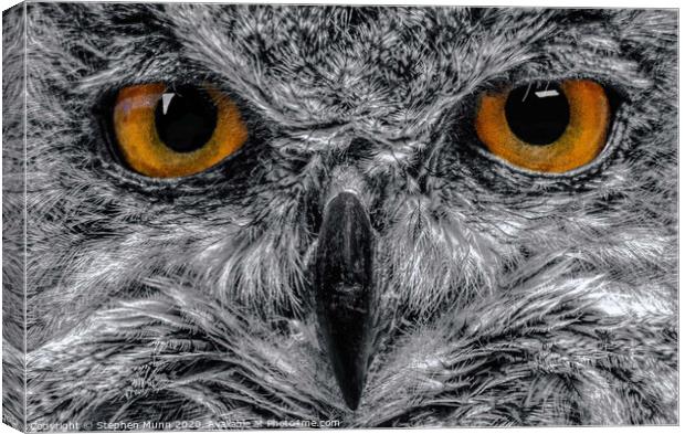 Eagle Owl Eyes in black and white Canvas Print by Stephen Munn