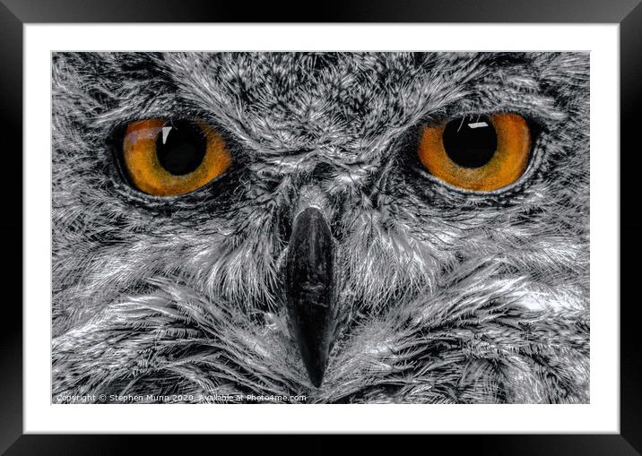 Eagle Owl Eyes in black and white Framed Mounted Print by Stephen Munn