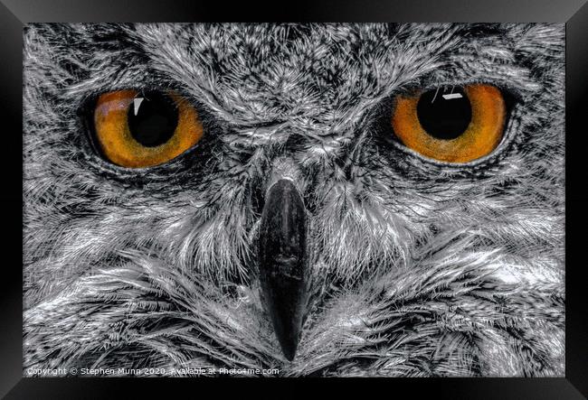 Eagle Owl Eyes in black and white Framed Print by Stephen Munn