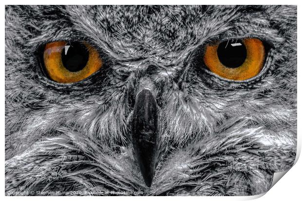 Eagle Owl Eyes in black and white Print by Stephen Munn