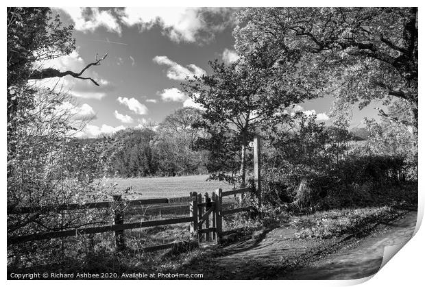 Black & White Farmland walk Print by Richard Ashbee