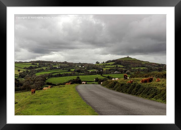 Dartmoor  Framed Mounted Print by Avril Harris