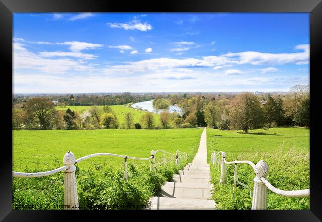 View from Richmond Hill Framed Print by Chris Harris