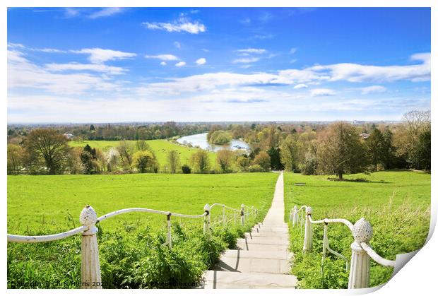 View from Richmond Hill Print by Chris Harris