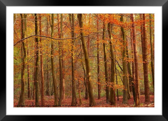  Trees and leaves  Framed Mounted Print by Simon Johnson