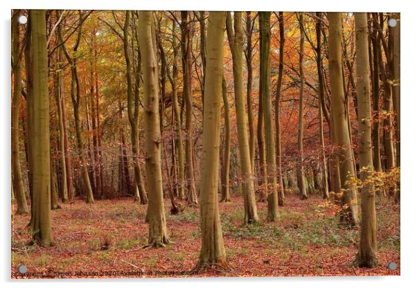 Auitumn Woodland Acrylic by Simon Johnson