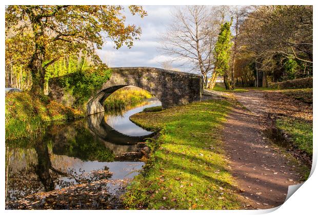 Bridge over the Neath Canal Print by Peter Thomas