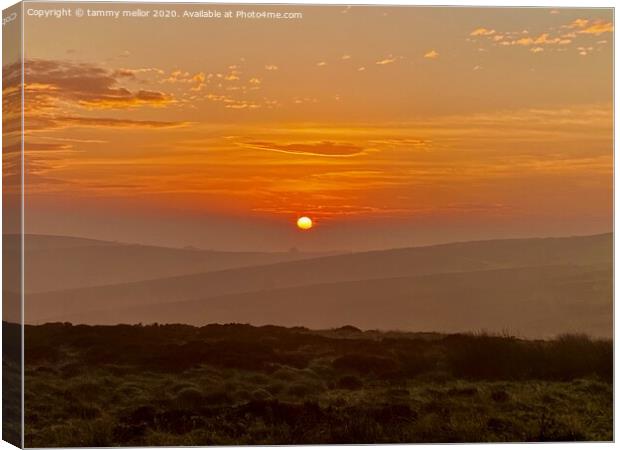 Misty Sunrise over Staffordshire Moorlands Canvas Print by tammy mellor