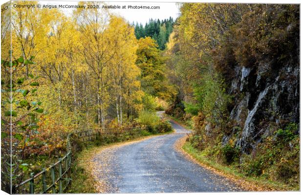Winding road by Loch Katrine Canvas Print by Angus McComiskey