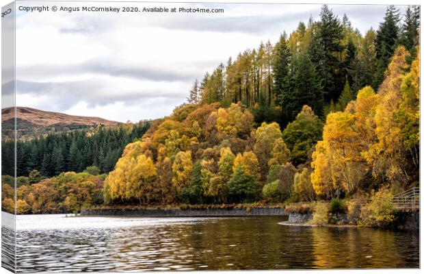 Autumn colours on Loch Katrine Canvas Print by Angus McComiskey