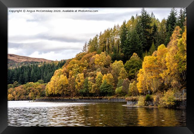 Autumn colours on Loch Katrine Framed Print by Angus McComiskey
