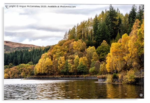 Autumn colours on Loch Katrine Acrylic by Angus McComiskey