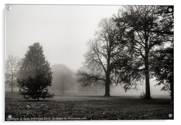 Foggy Landscape  Acrylic by AJS Photography