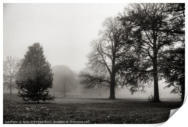Foggy Landscape  Print by AJS Photography