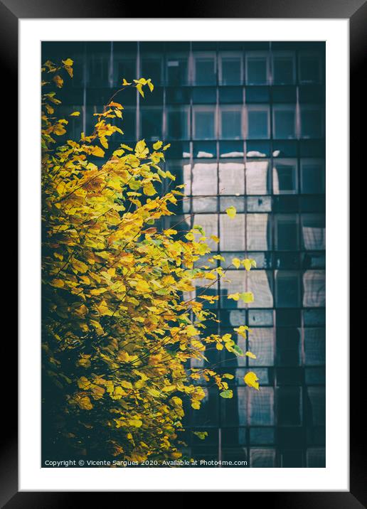 Yellow leaves and a building Framed Mounted Print by Vicente Sargues
