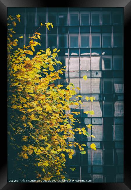 Yellow leaves and a building Framed Print by Vicente Sargues