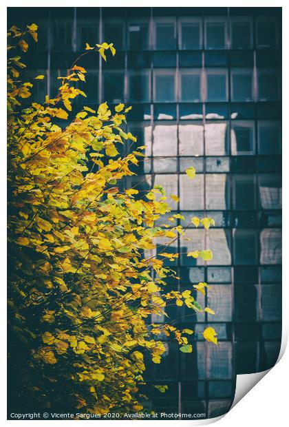 Yellow leaves and a building Print by Vicente Sargues