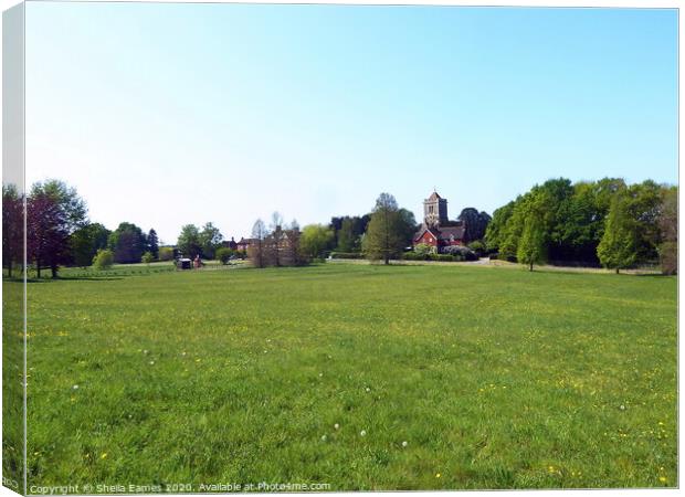 Shipbourne Common and Church Canvas Print by Sheila Eames