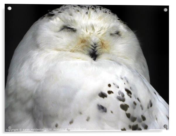 A bird sitting on top of an owl Acrylic by Karen Hiddleston