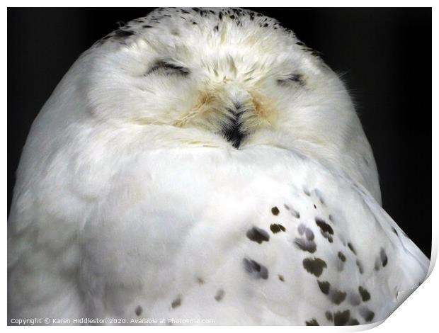 A bird sitting on top of an owl Print by Karen Hiddleston
