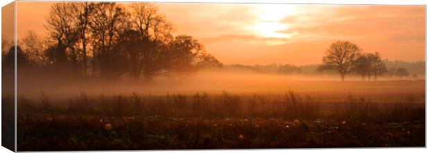 The Coming Mist Canvas Print by Clive Eariss
