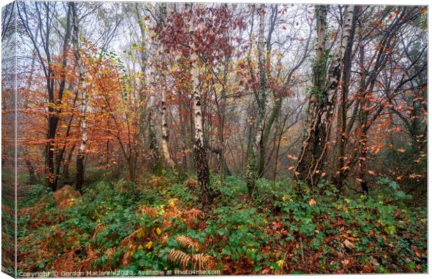 Autumn, Bargoed Woods Canvas Print by Gordon Maclaren