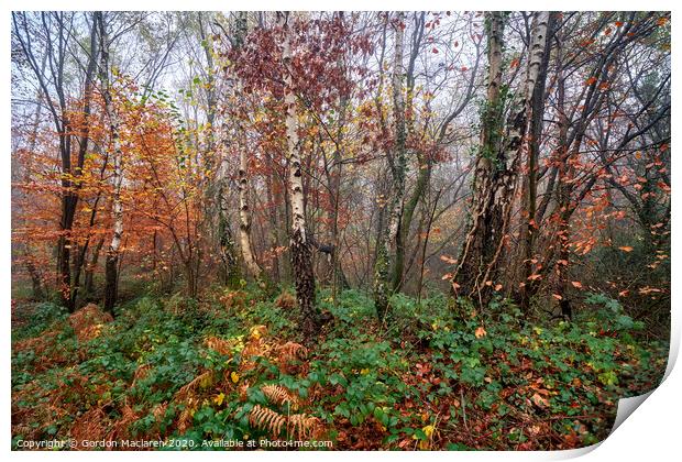 Autumn, Bargoed Woods Print by Gordon Maclaren