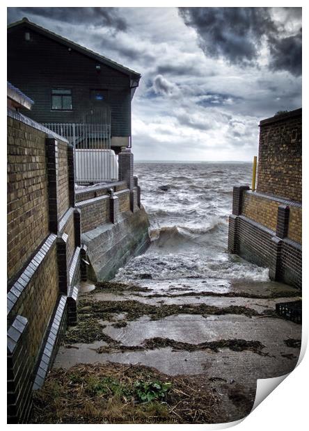 Slipway at Old Leigh fishing village, Essex, Uk. Print by Peter Bolton