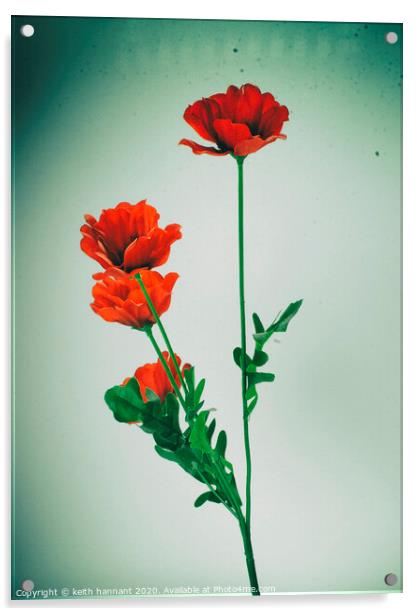vintage poppy  Acrylic by keith hannant