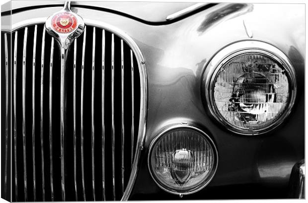 Jag Canvas Print by Stephen Maxwell