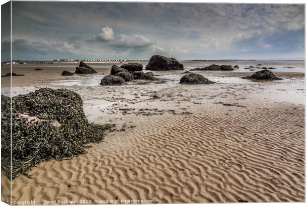Beach Ripples at Barmouth Canvas Print by David Buckland