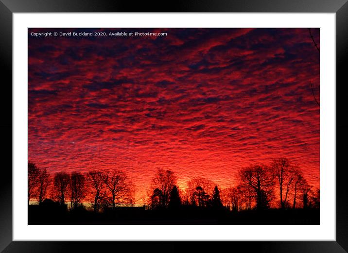 Herringbone Sunrise. Framed Mounted Print by David Buckland