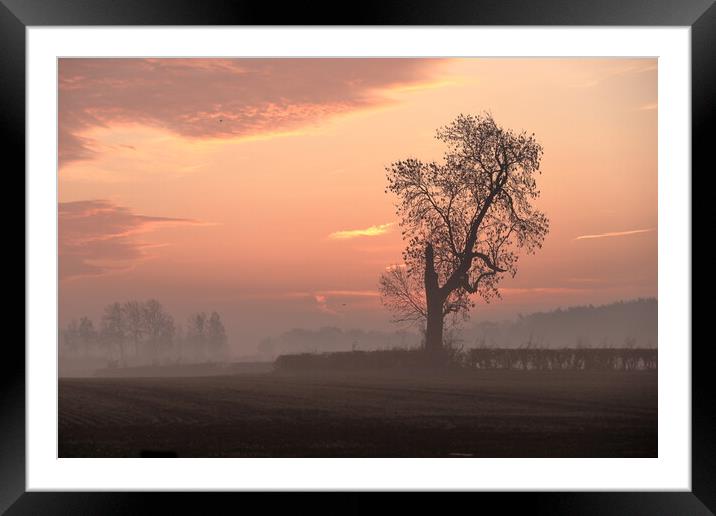 Misty sunrise 4 Framed Mounted Print by Angela Redrupp