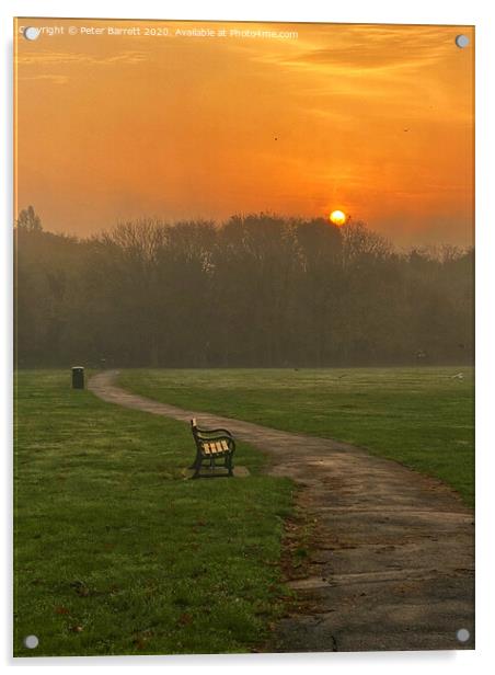 The Lonely Path at Sunrise Acrylic by Peter Barrett