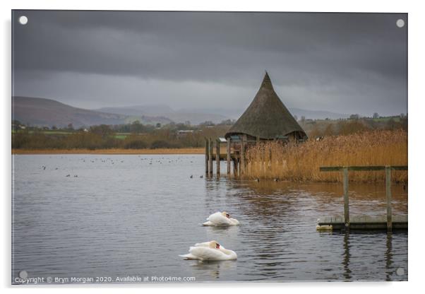 Llangorse lake with swans and crannog Acrylic by Bryn Morgan