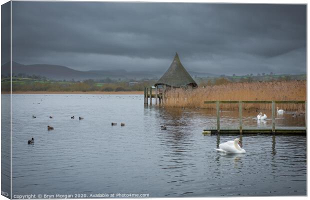 Llangorse lake with swans and crannog Canvas Print by Bryn Morgan