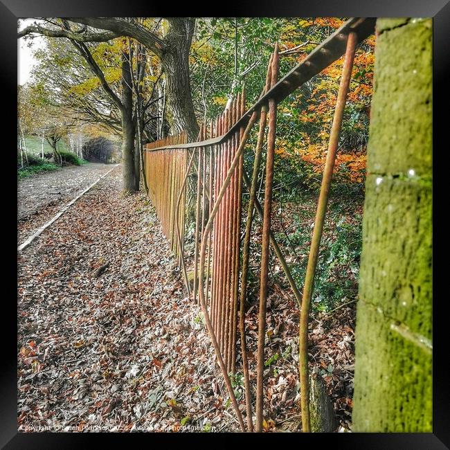 Roman road next to Cheethams Park, Stalybridge Framed Print by Sarah Paddison