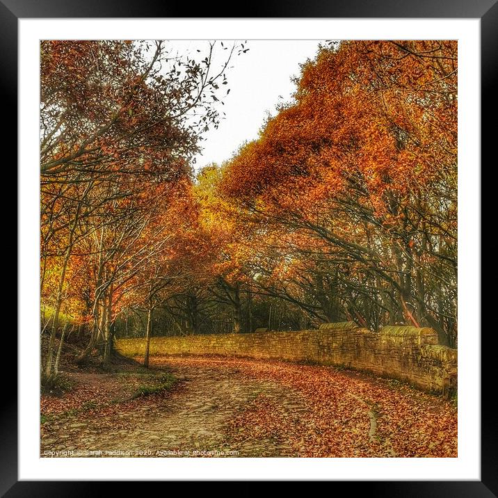 Autumn on the Roman road, stalybridge Framed Mounted Print by Sarah Paddison
